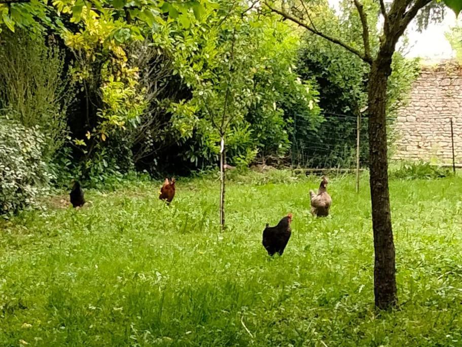 Le Cinq, Au Coeur Du Vexin Villa Themericourt Dış mekan fotoğraf